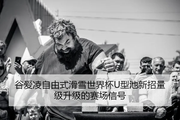 gu-ai-ling-zi-you-shi-hua-xue-shi-jie-bei-xing-chi-xin-zhao-liang-ji-sheng-ji-de-sai-chang-xin-hao-2-451.jpg